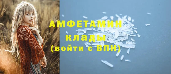 молекула духа Алексин