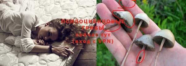 кокаин колумбия Алзамай