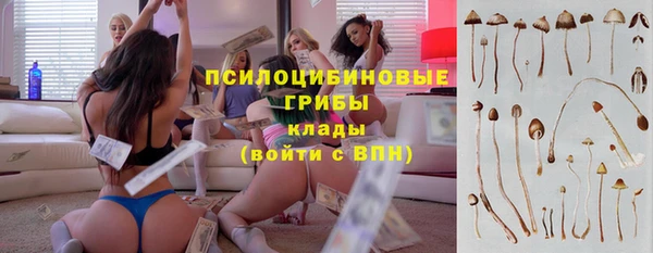 молекула духа Алексин