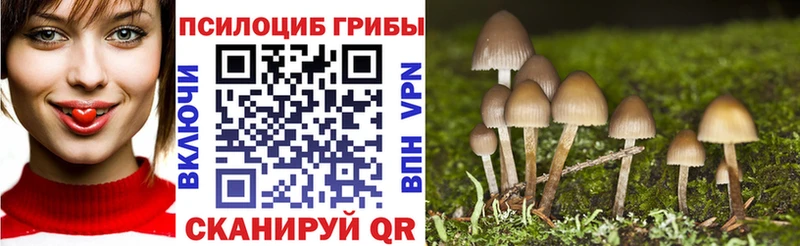 где найти   hydra как зайти  Псилоцибиновые грибы Psilocybe  Николаевск-на-Амуре 