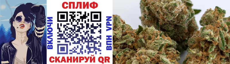 Каннабис тримм  ОМГ ОМГ как войти  Николаевск-на-Амуре  наркотики 